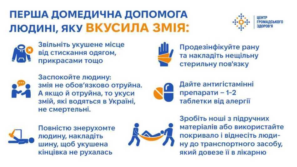 Як уникнути укусу змій та що робити після укусу